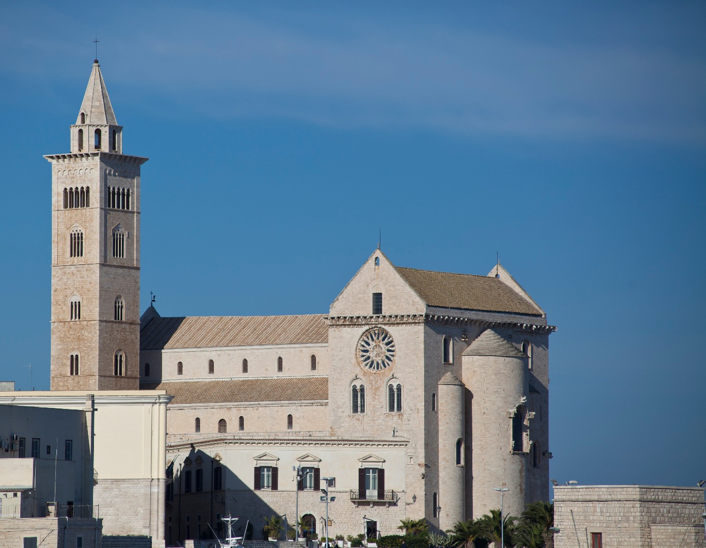 Cattedrale di Trani